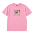 chihuahua.png