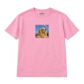 cockerspaniel.png