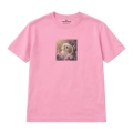 shihtzu.png