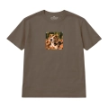 beagle (2).png