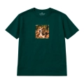 beagle (4).png