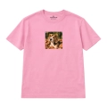beagle (5).png