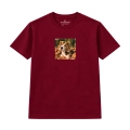 beagle (6).png