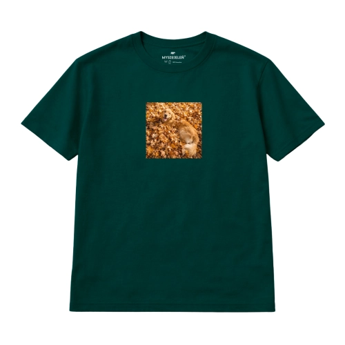 golden-retriever (4).png