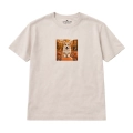 corgi (3).png
