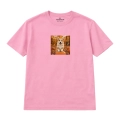 corgi (5).png
