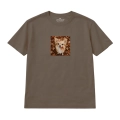 chihuahua (2).png