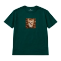 chihuahua (4).png