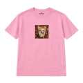 chihuahua (5).png