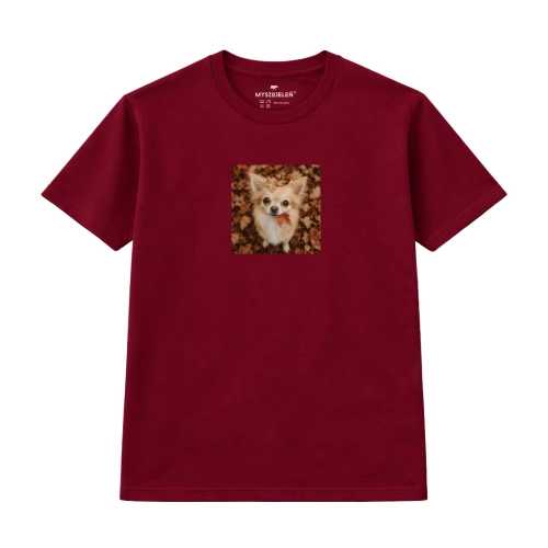 chihuahua (6).png