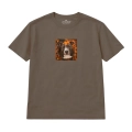 amstaff (2).png