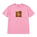 shiba (5).png