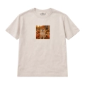 shiba (3).png