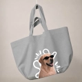 labrador-biszkoptowy-incognito-szara.png