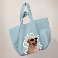 labrador-biszkoptowy-incognito-jasnoniebieska.png