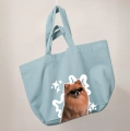 pomeranian-pomaranczowy-incognito-jasnoniebieska.png