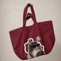 kot-norweski-lesny-incognito-bordowa.png