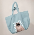 kot-ragdoll-incognito-jasnoniebieska.png