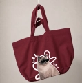 kot-ragdoll-incognito-bordowa.png