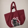 kot-brytyjski-incognito-bordowa.png