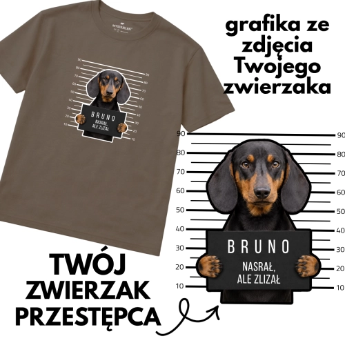 TWÓJ ZWIERZAK PRZESTĘPCA.png