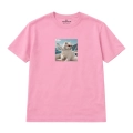 wyluzowany-samoyed (9).png