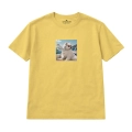 wyluzowany-samoyed (8).png
