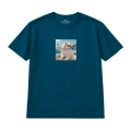 wyluzowany-samoyed (7).png