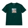 wyluzowany-samoyed (6).png