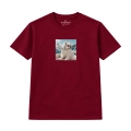 wyluzowany-samoyed (5).png