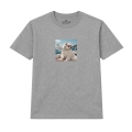 wyluzowany-samoyed (3).png