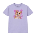 CORGIlawendowy.png