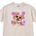 CORGI.png