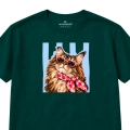 KOT-MAINE-COON.png