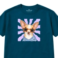 CHIHUAHUA.png
