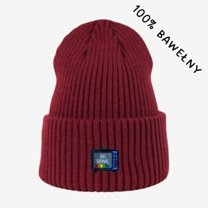 Haftowana bawełniana czapka beanie - TELEWIZOR