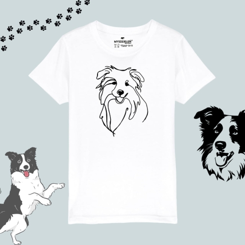 border collie (3).jpg