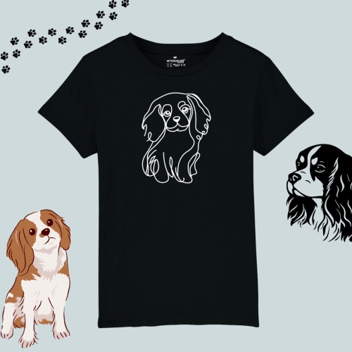 cavalier spaniel (3).jpg