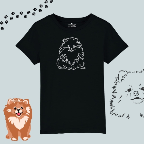 pomeranian (2).jpg