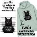 bluza.png