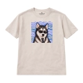 HUSKY-IKONA (6).png