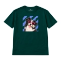 BORDER-COLLIE-IKONA (4).png
