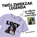 główna.png