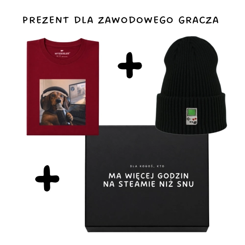 gracz.png