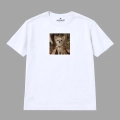 chihuahua (9).png