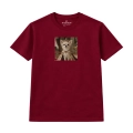 chihuahua (7).png