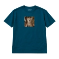 chihuahua (6).png