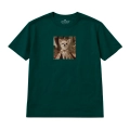 chihuahua (5).png