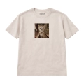 chihuahua (4).png
