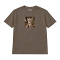chihuahua (3).png